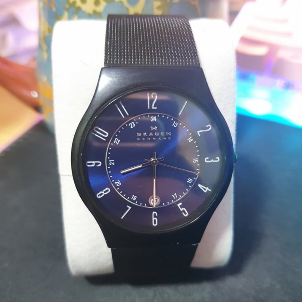 Skagen Men's Sundby Titanium and Stainless Steel Mesh Casual Quartz Watch